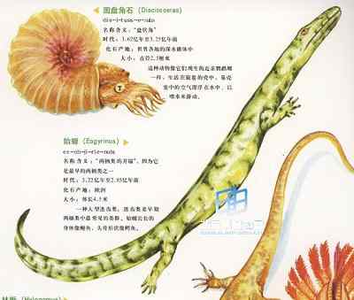 两栖类祖先的骨骼的适应变化