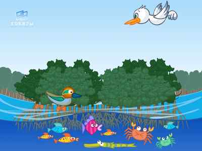 小海鸥红树林历险记(4)——遭遇贪魔风魔