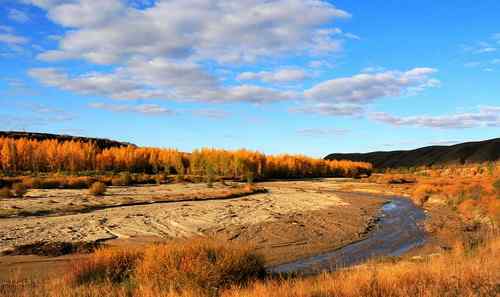 达里诺尔的国庆节：猛禽满天满地