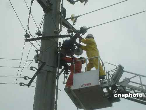 男子电线杆上掏鸟窝遭电击身亡