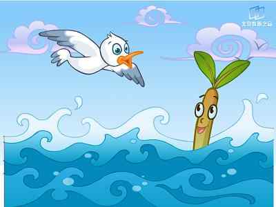 小海鸥红树林历险记（1）——胎生的水笔仔