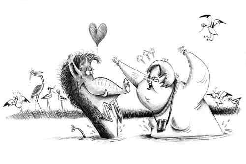 the boy who loved animals