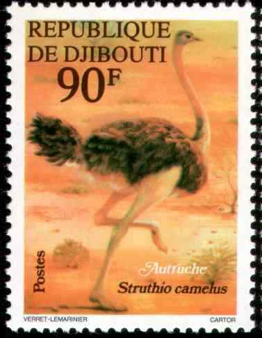 吉布提鸵鸟邮票