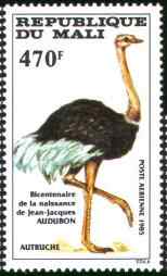 马里鸵鸟邮票