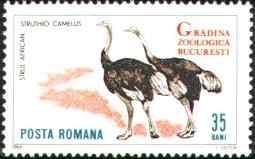 罗马尼亚鸵鸟邮票