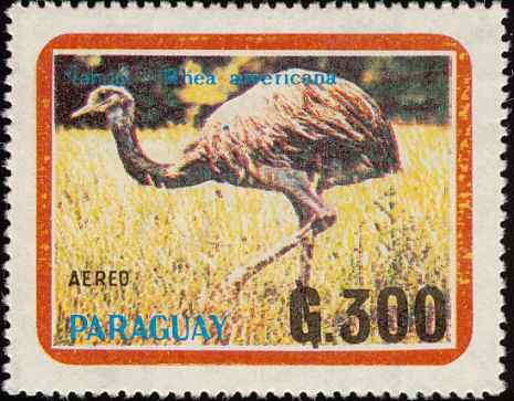 巴拉圭大美洲鸵邮票