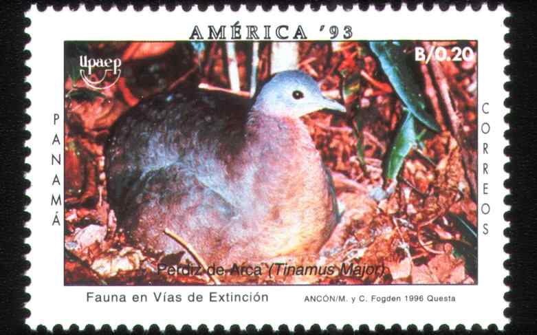 巴拿马大䳍鸟邮票