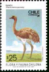智利小美洲鸵邮票