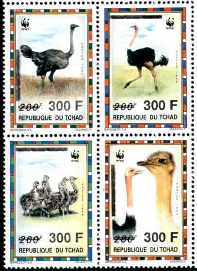 乍得鸵鸟邮票