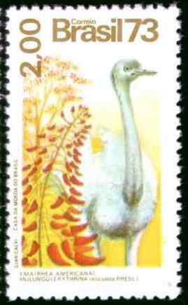 巴西大美洲鸵邮票