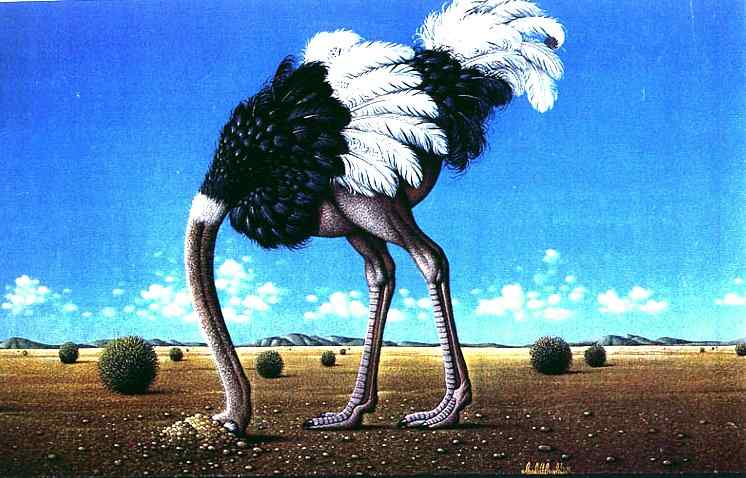 鸵鸟“埋沙避难”