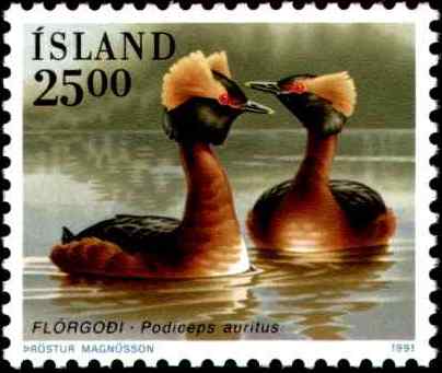冰岛角鸊鷉邮票