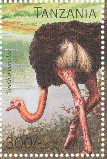 坦桑尼亚鸵鸟邮票