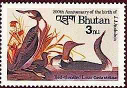 不丹红喉潜鸟邮票