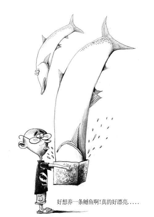 the boy who loved animals