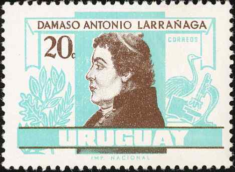 乌拉圭大美洲鸵邮票