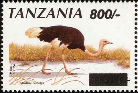 坦桑尼亚鸵鸟邮票