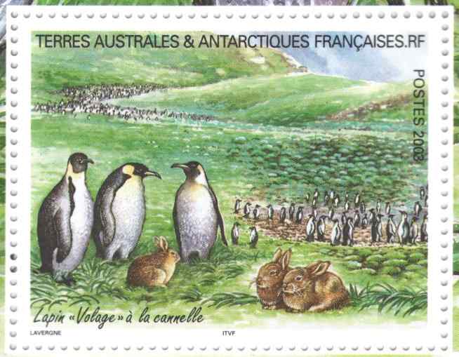 帝企鹅邮票集七(8枚)