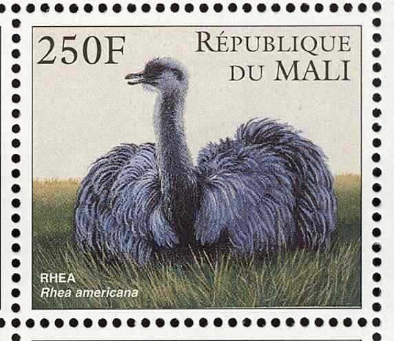 马里大美洲鸵邮票