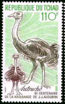 乍得鸵鸟邮票