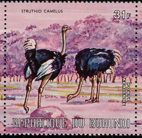 布隆迪鸵鸟邮票