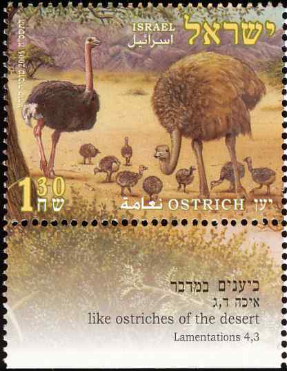 以色列鸵鸟邮票