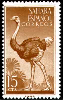 西撒哈拉鸵鸟邮票