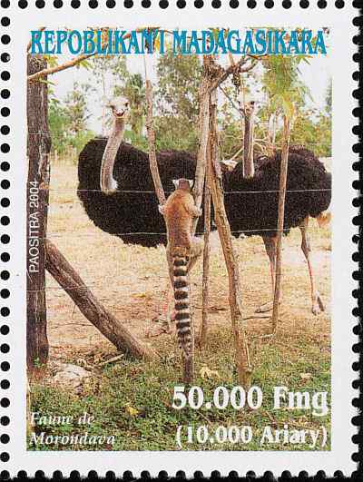 马达加斯加鸵鸟邮票