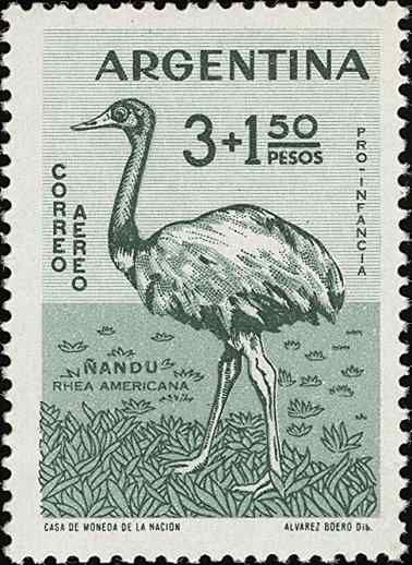 阿根廷大美洲鸵邮票