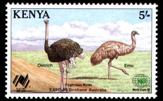 肯尼亚鸸鹋邮票