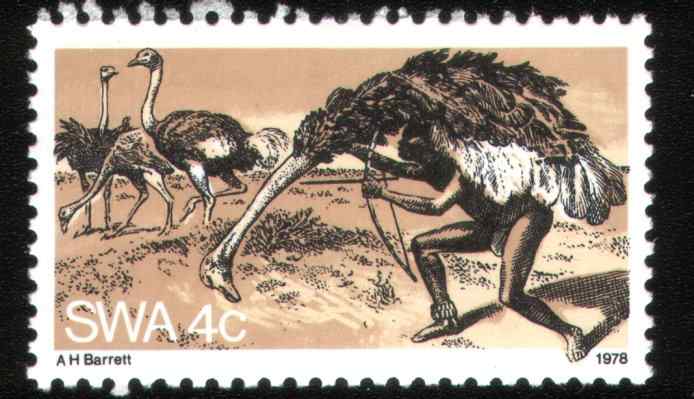 西南非洲鸵鸟邮票