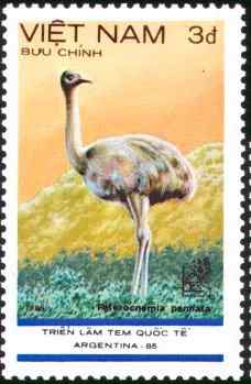 越南小美洲鸵邮票