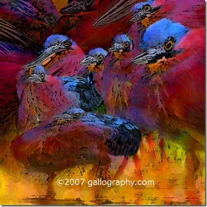 惊艳的超现实主义鸟类画