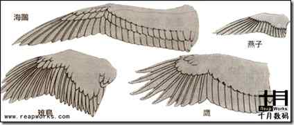 Maya:鸟类的骨骼绑定