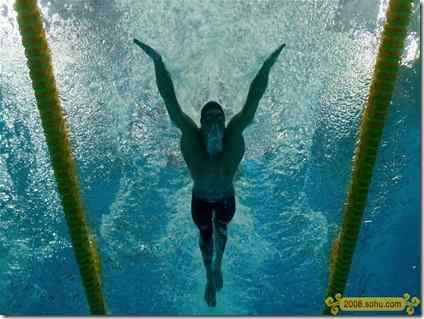 菲尔普斯:忧伤的鸟