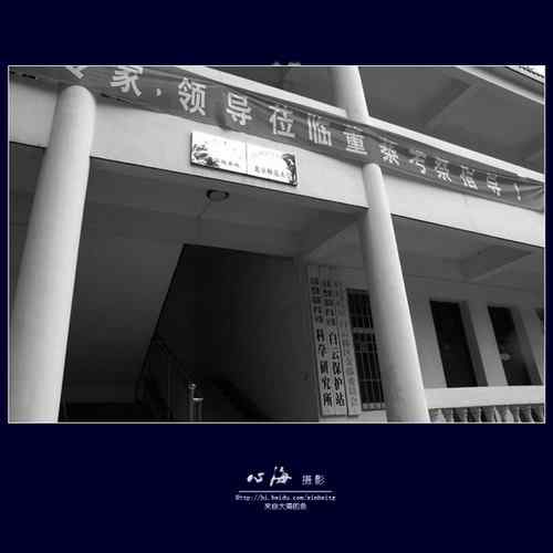 董寨国家级自然保护区 鸟类资源丰富