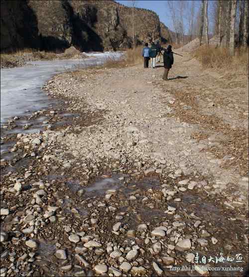 白河峡谷是个观鸟的好地方