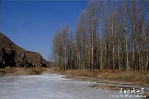 白河峡谷是个观鸟的好地方