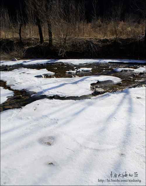 白河峡谷是个观鸟的好地方