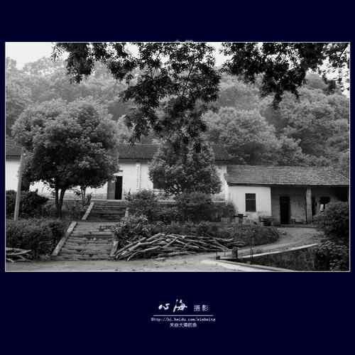 董寨国家级自然保护区 鸟类资源丰富