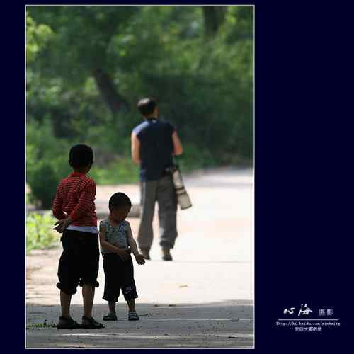 董寨观鸟——民风淳朴