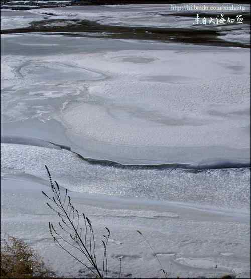 白河峡谷是个观鸟的好地方