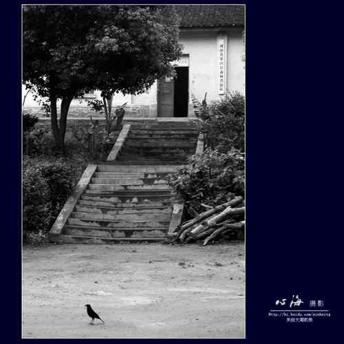 董寨国家级自然保护区 鸟类资源丰富