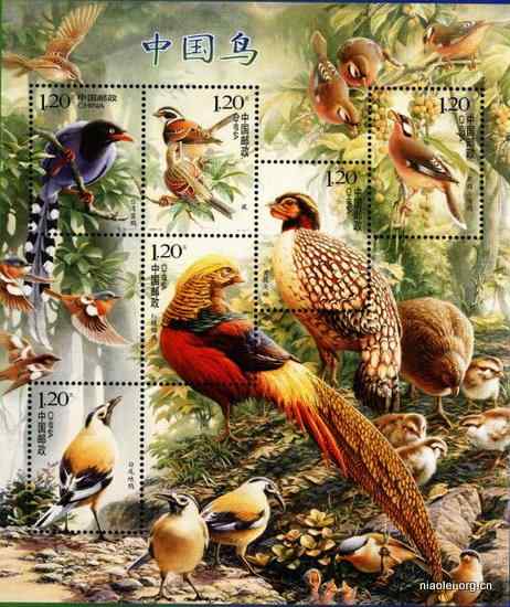 2008年纪特邮票《中国鸟》