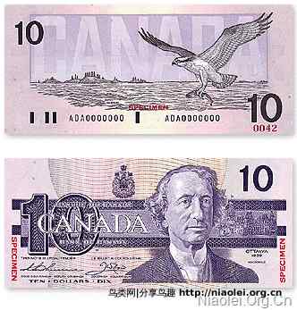 加拿大货币：纸币和硬币