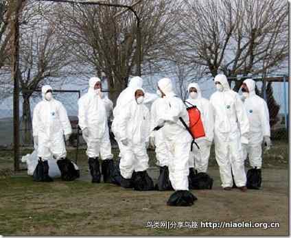 鸟类的绝症是什么？