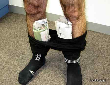 澳大利亚腿毛男 紧身裤走私鸽子