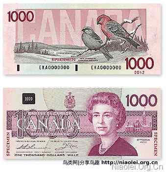 加拿大货币：纸币和硬币