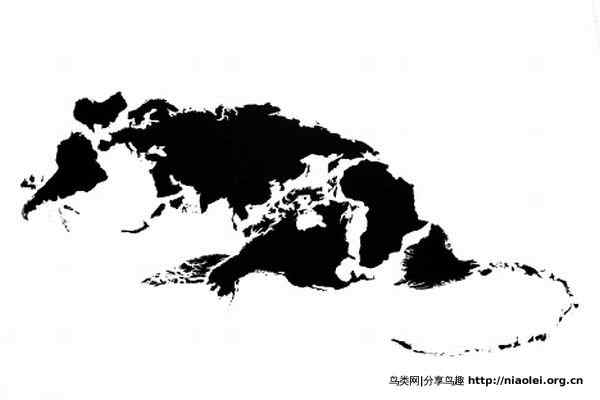 大陆漂移之十二生肖