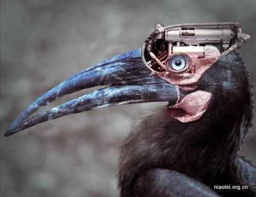 [组图]未来生物武器